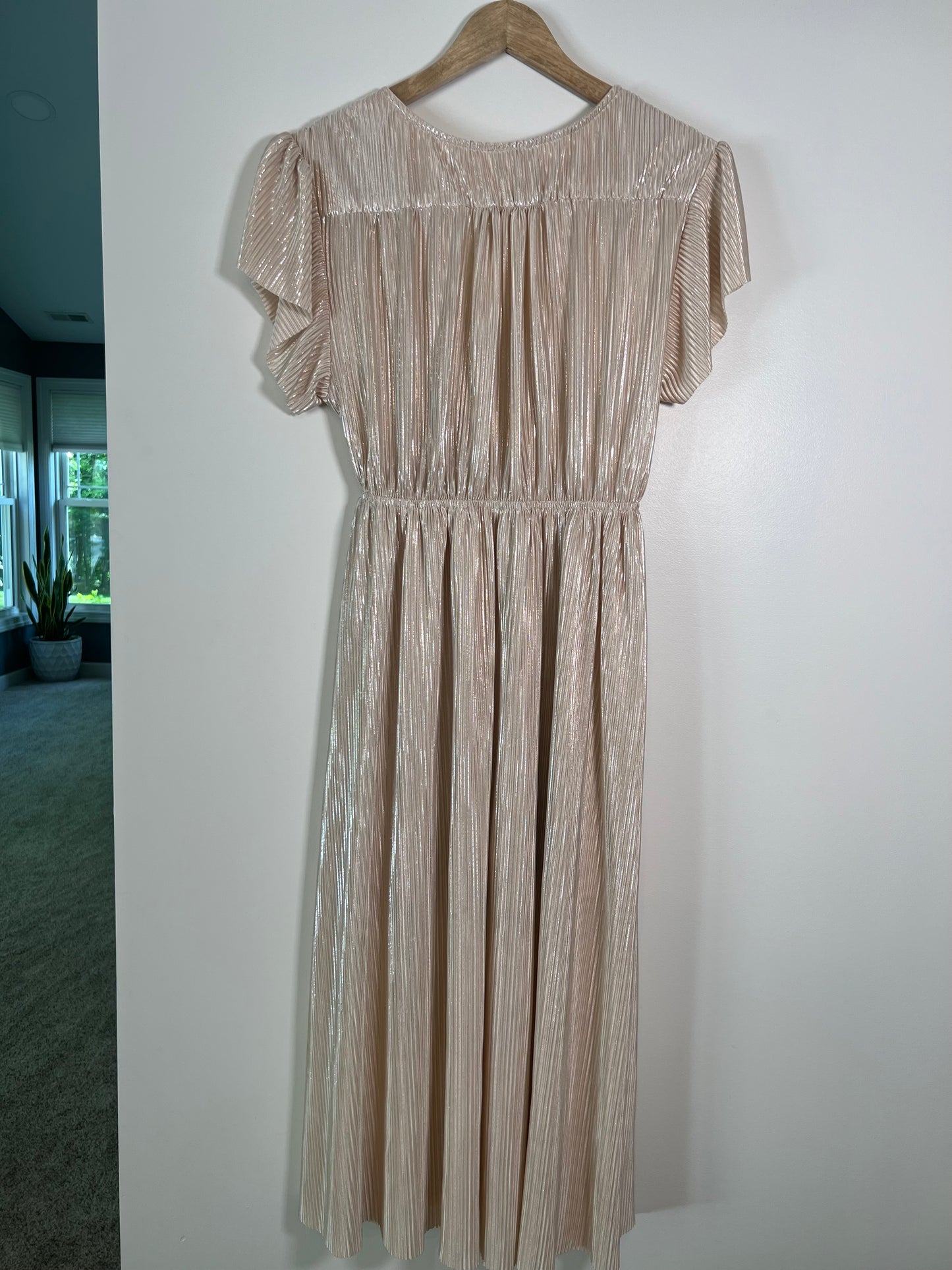 Small See and Be Seen Champagne Dress