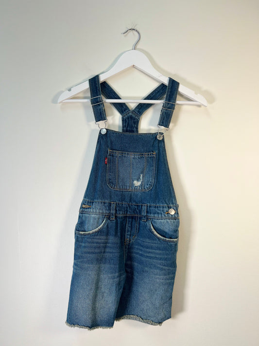 L Levi's Overalls