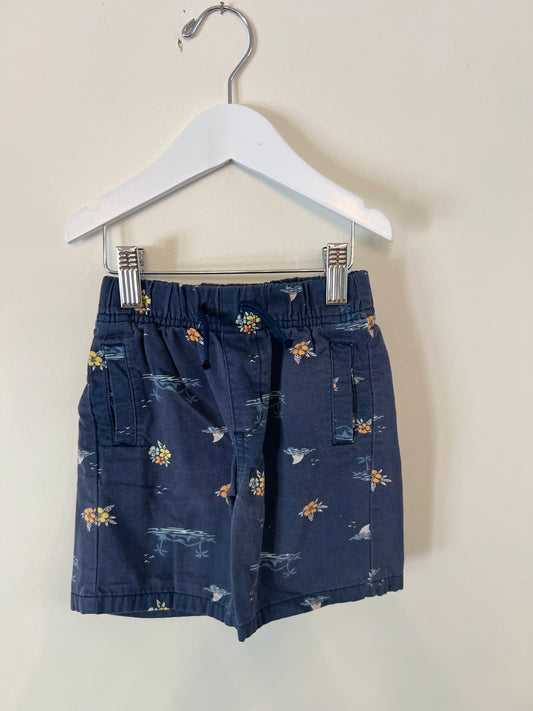 3T Garanimals Coastal Shorts